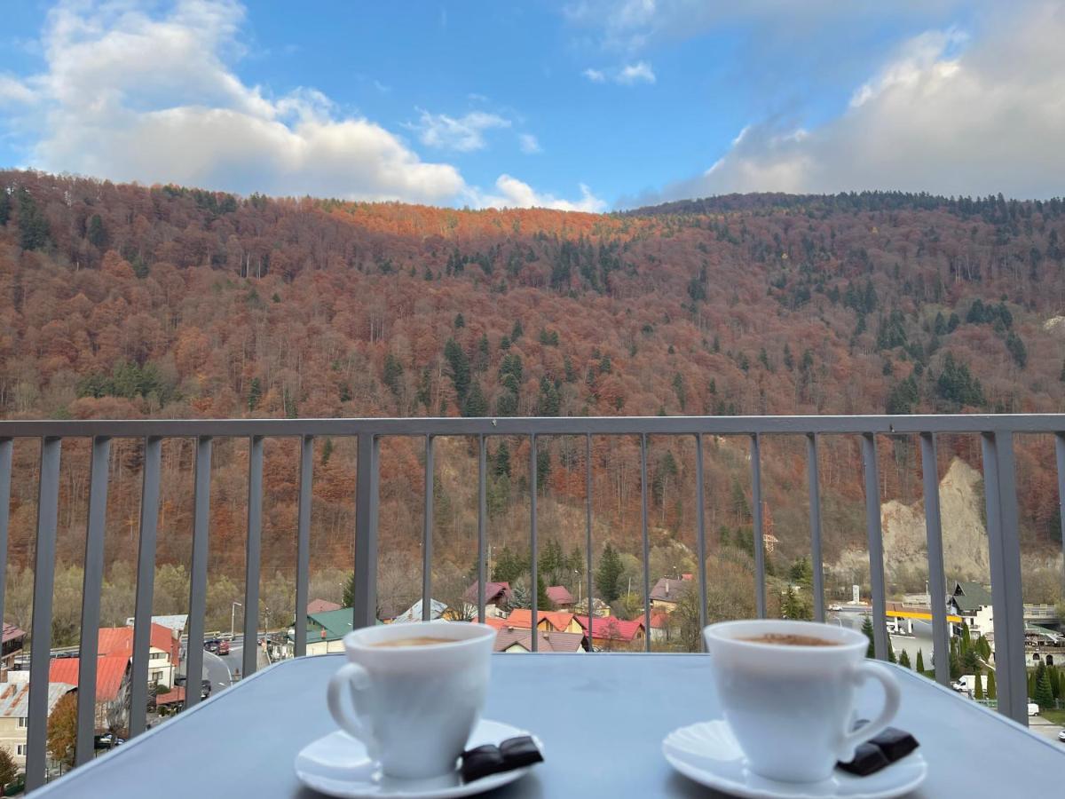Viewapart Sinaia Exterior foto